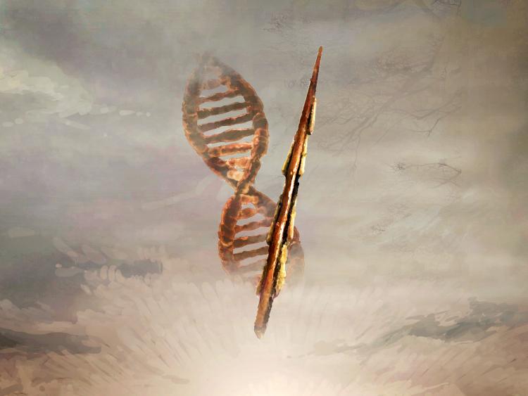 Illustration af flintægspyd og DNA-streng